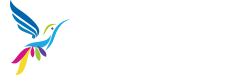 青耕鸟网络